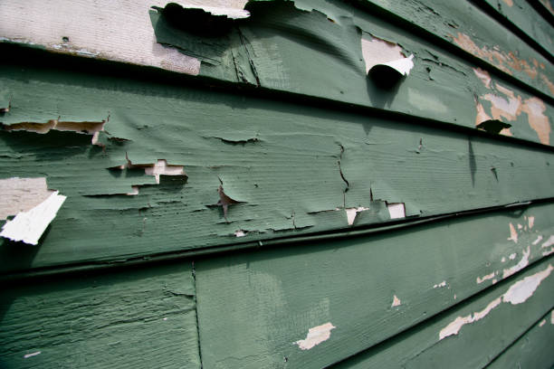 Best Retail Junk Removal  in Black Earth, WI