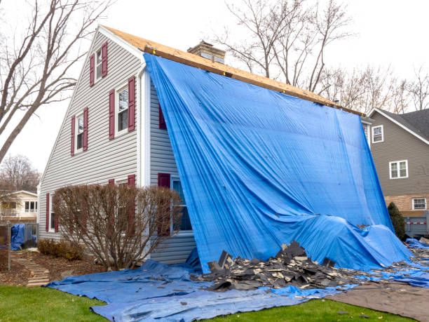 Best Yard Waste Removal  in Black Earth, WI
